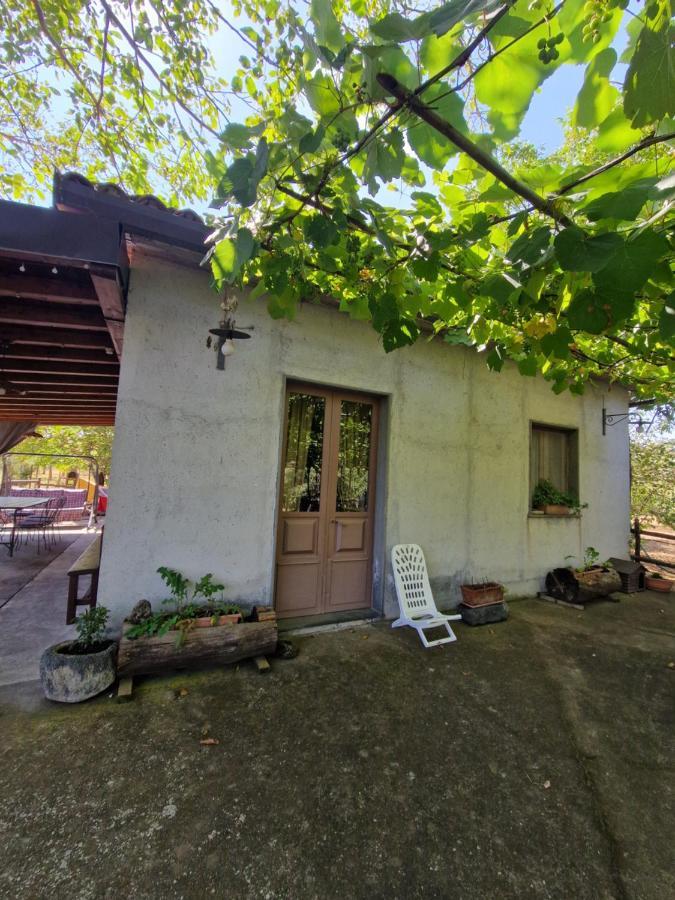 Willa La Casa Di Giulia Bronte Zewnętrze zdjęcie